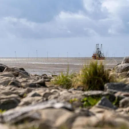 Westertill 08 Ferienhaus *