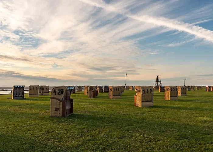 Westertill 08 דורום נויפלד