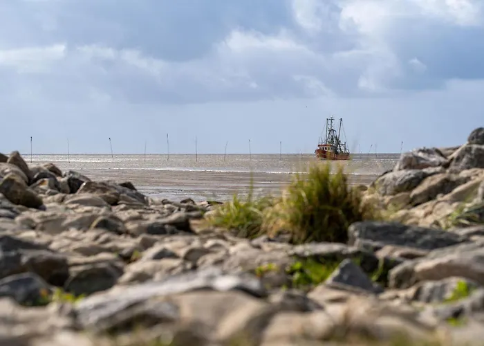 Westertill 08 בית נופש *